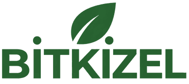 BİTKİZEL
